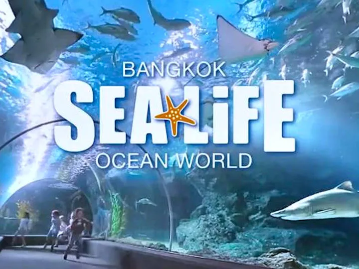 Sea Life Group 10+ -Trade A