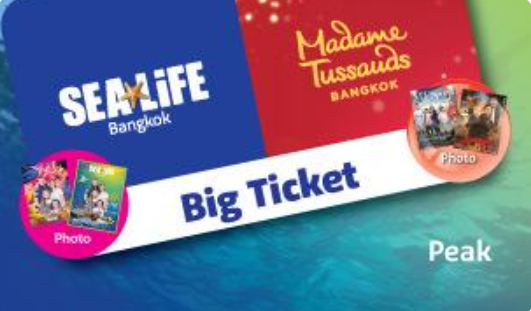 SEA LIFE  + Madame Tussauds +  Digital Photo  (Peak)