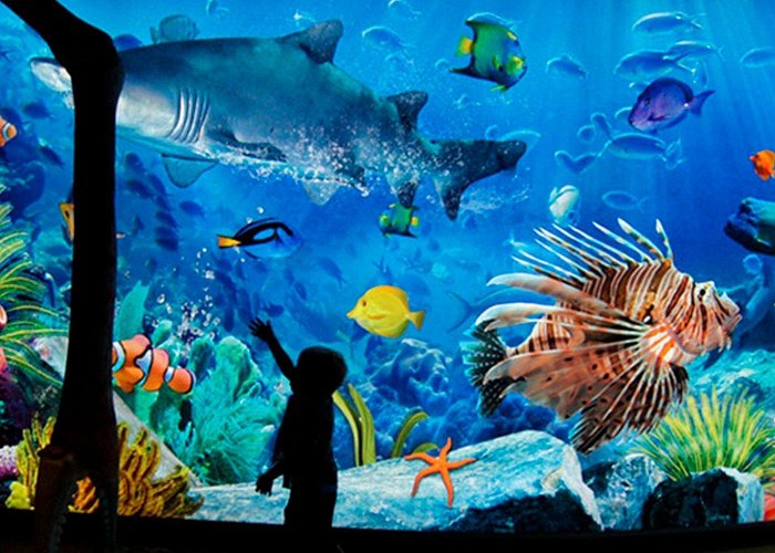 SEA LIFE Admission 