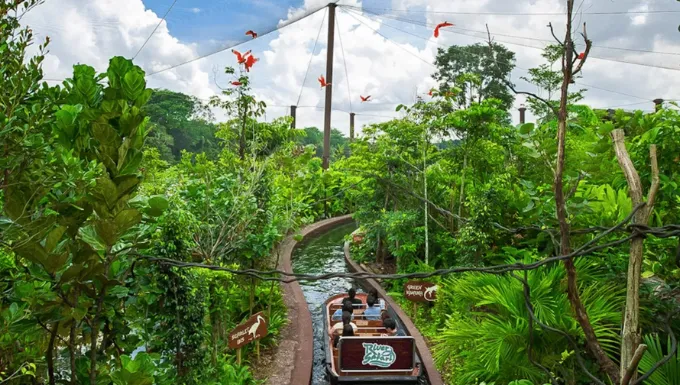 RIVER SAFARI