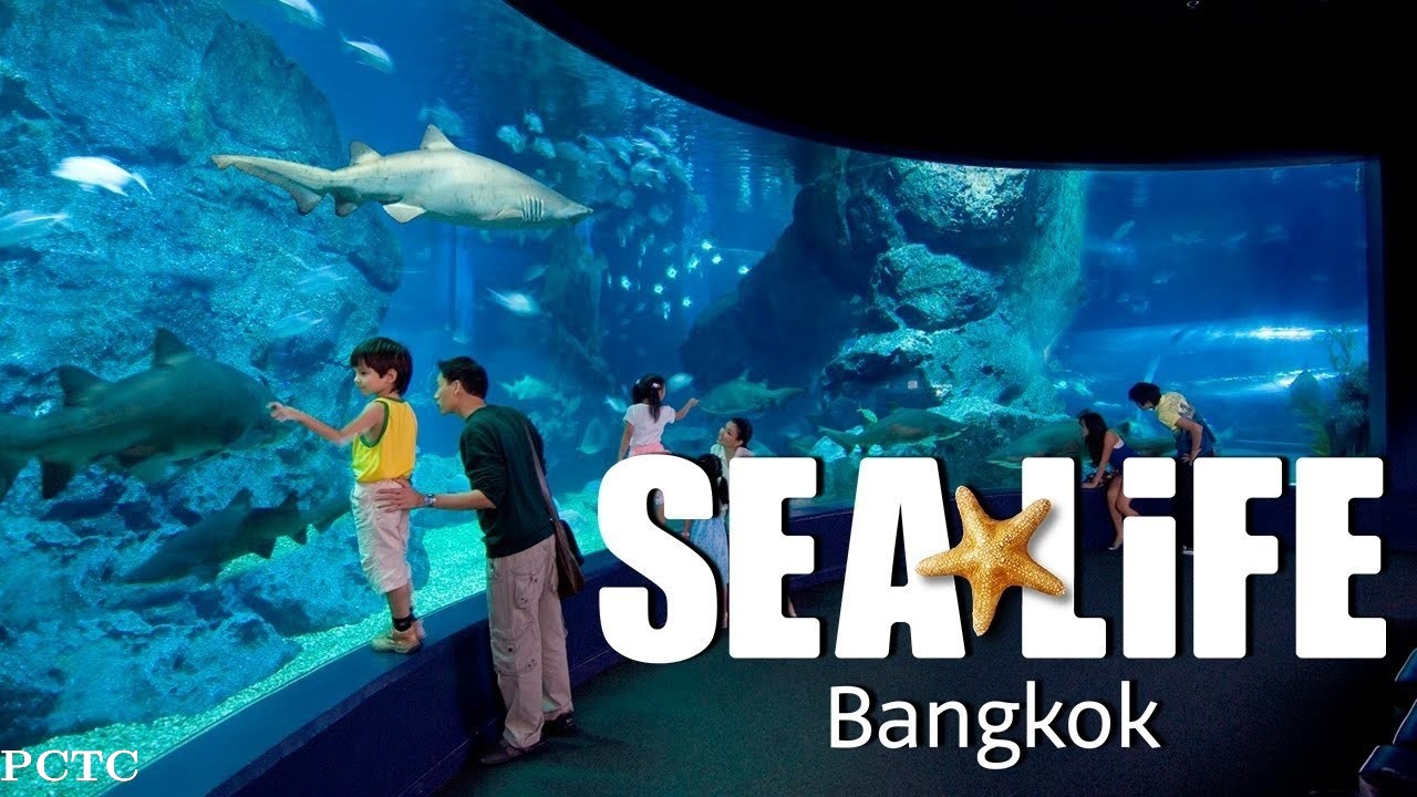 SEA LIFE Bangkok Ocean World
