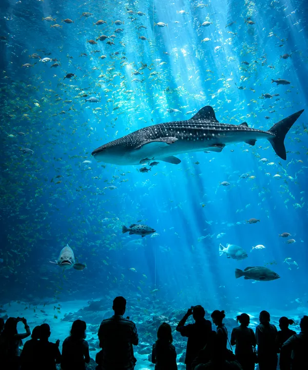 SEA LIFE & MADOM TUSAD 